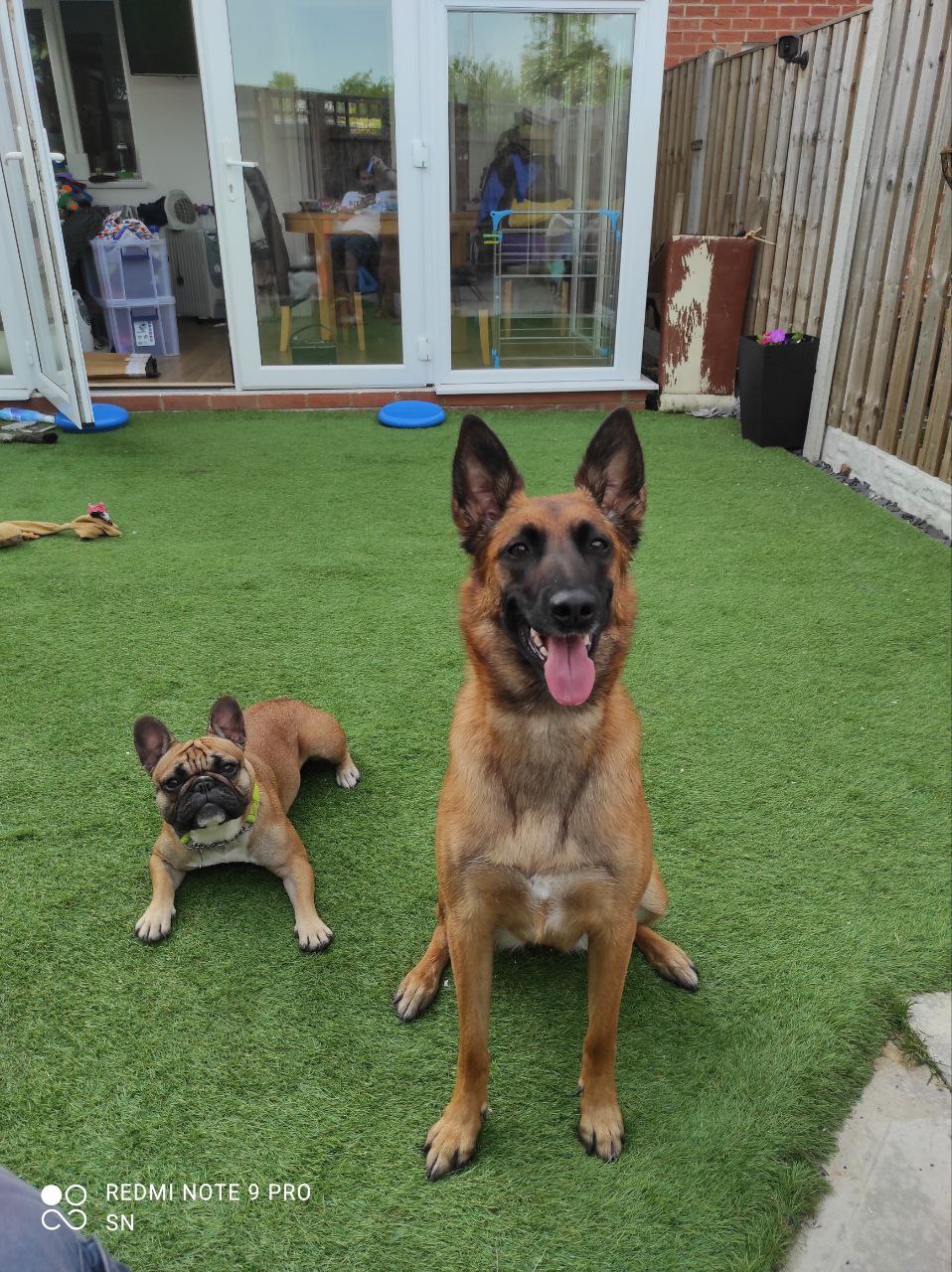 Nalah & Luna